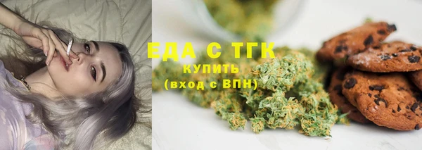 ECSTASY Алзамай
