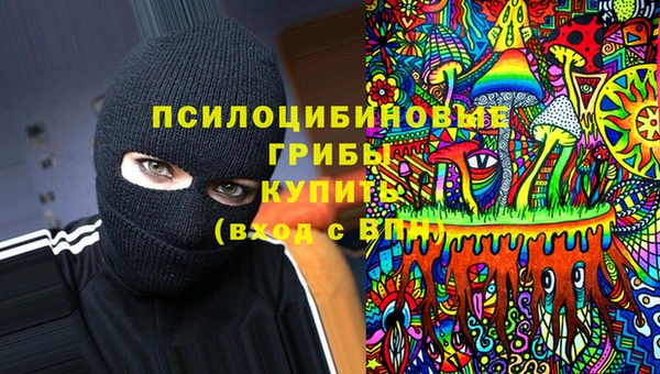 apvp Алексеевка