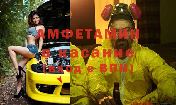ECSTASY Алзамай