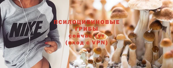 apvp Алексеевка