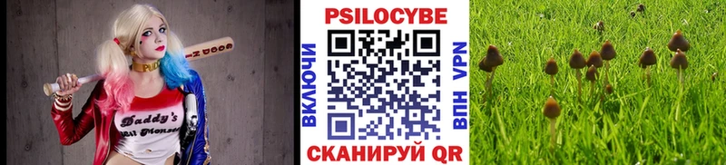 Псилоцибиновые грибы прущие грибы Лесосибирск