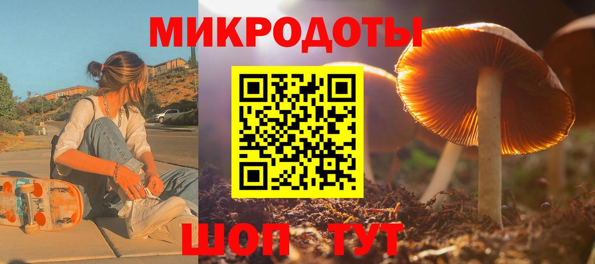 Псилоцибиновые грибы мухоморы  купить наркотик  Лесосибирск  Вход с VPN 